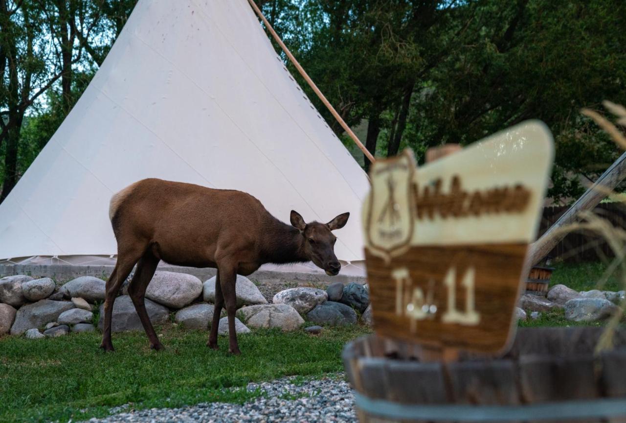 Dreamcatcher Tipi Hotel Gardiner Exteriör bild